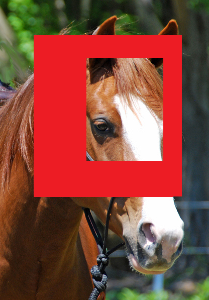 horse.png