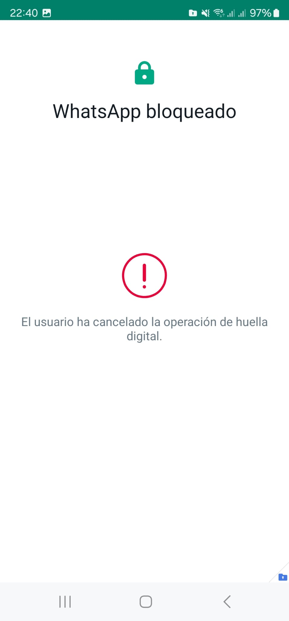 Imagen de WhatsApp 2024-01-05 a las 22.41.01_17b36fe6.jpg