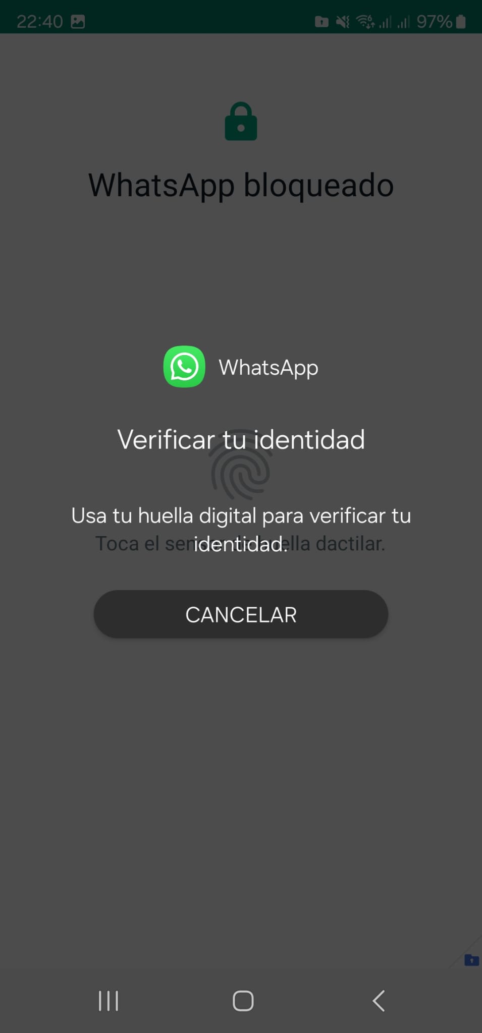 Imagen de WhatsApp 2024-01-05 a las 22.41.01_434362af.jpg