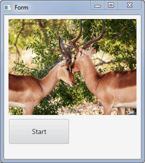 java_X9Y9sSu1n9.gif