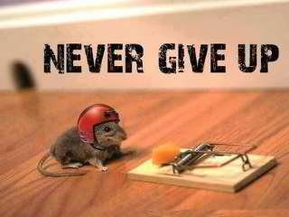 nevergiveup320.jpg