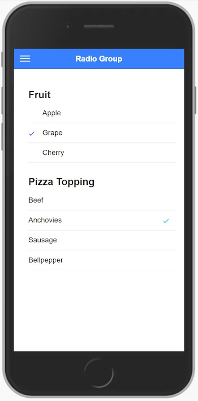 RadioGroup.jpg