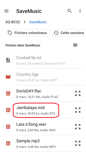 Screenshot_20250309-145859.png