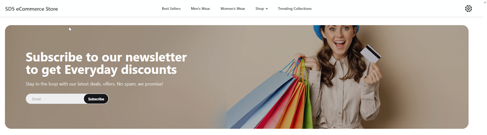 SD5 ECommerce NewsLetter.png