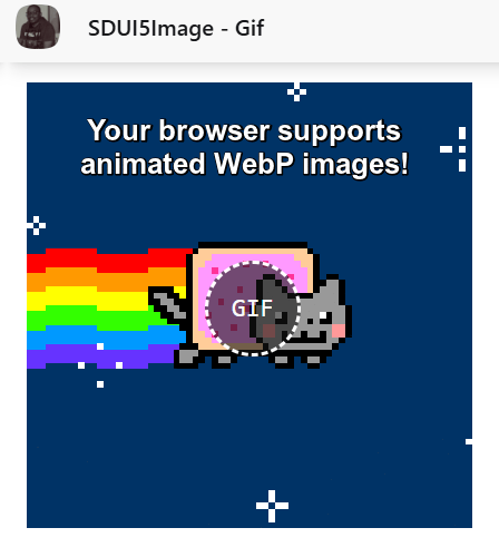 SDUI5ImageGif1.gif