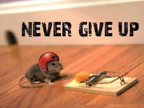 nevergiveup-jpg.96069